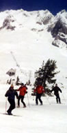 Telemark Ski Lessons