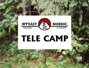 Summer Tele Camp Sign